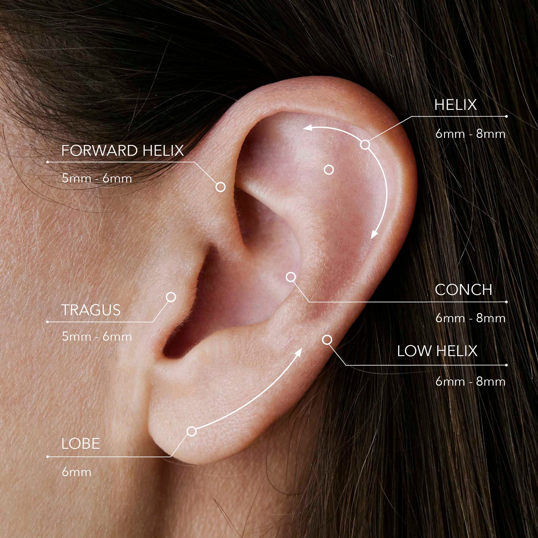 Labret sizing for ear positions