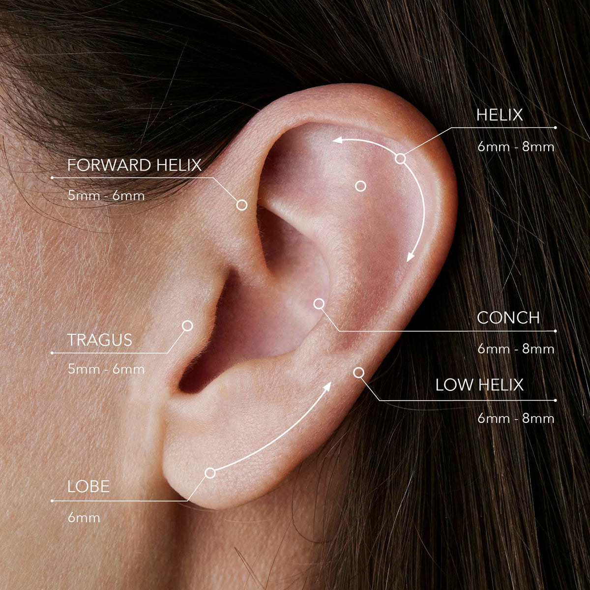 Piercing Size Guide Black Betty Design