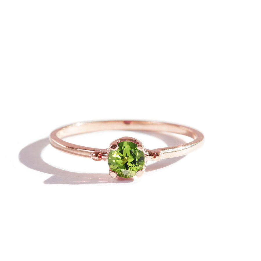 The Skinny Joy Ring in 9kt Rose Gold
