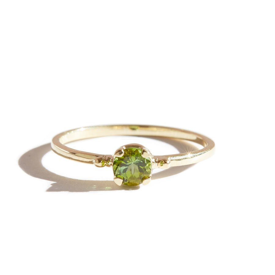 The Skinny Joy Ring in 9kt Yellow Gold