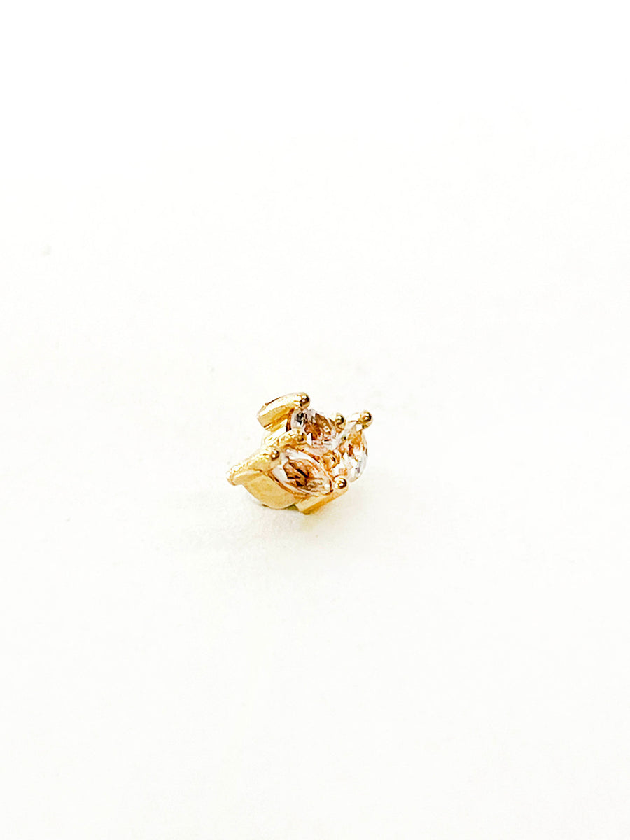 The Bloom Studs