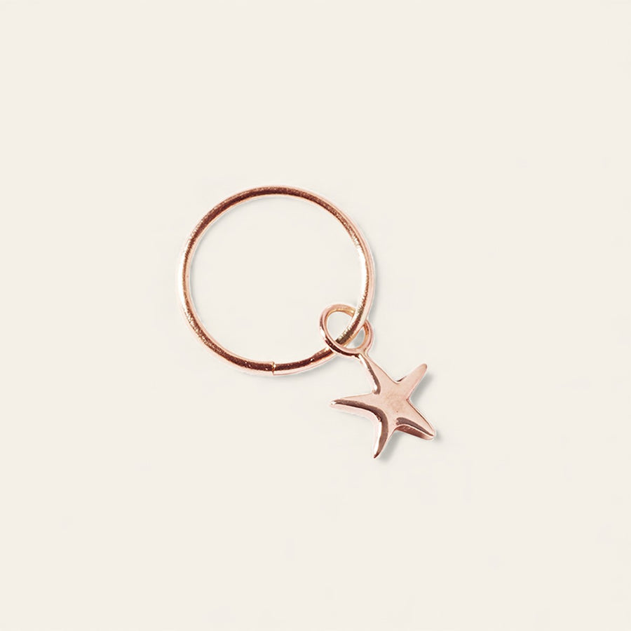 The Star Charm