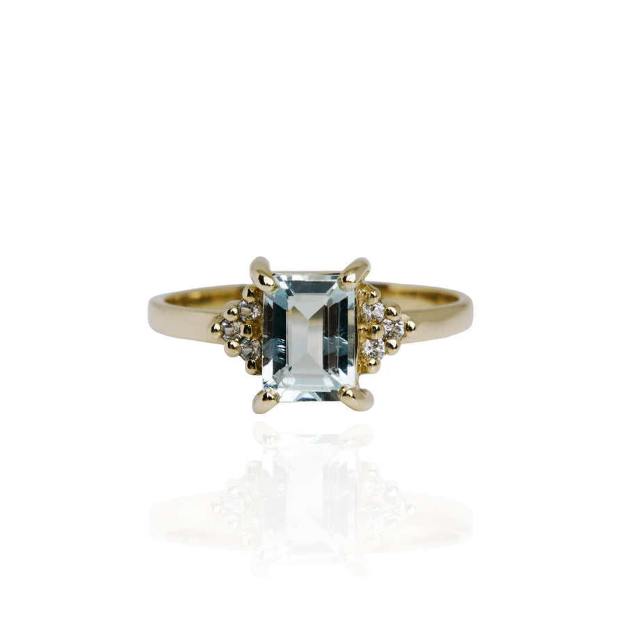 The Rectangle Lewis Cluster Ring