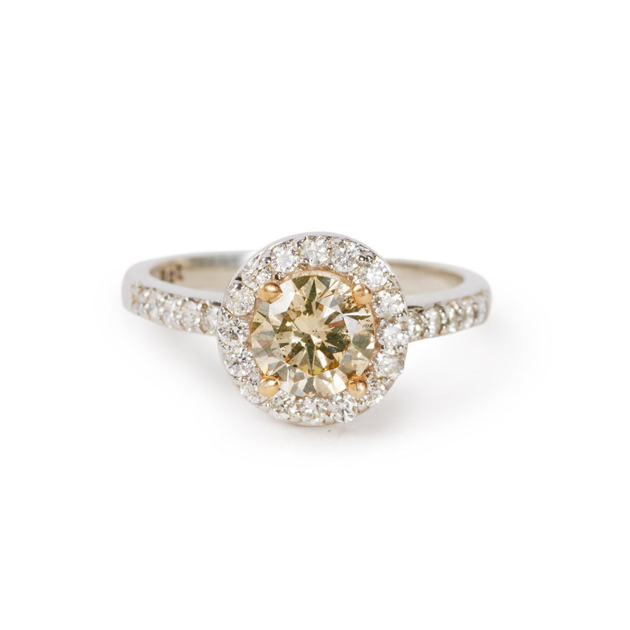 Golden Princess Cut Diamond Halo Ring-Ring-Black Betty Design