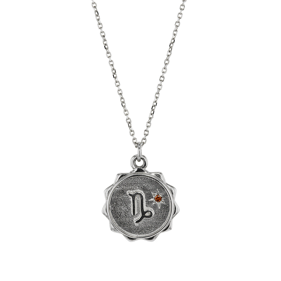 The Zodiac Necklace in Silver