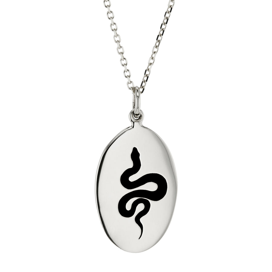 The Serpent's Necklace in Silver