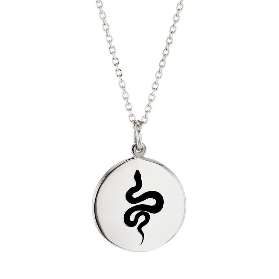 The Serpent's Necklace in Silver